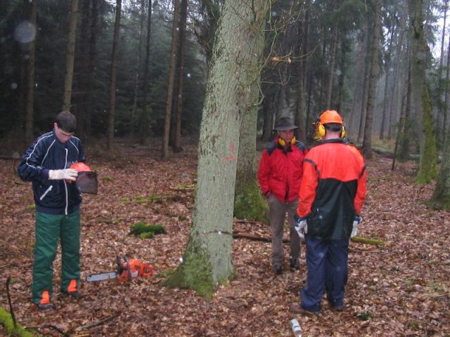 Kettensägenausbildung 2006 Kettensägenausbildung 2006