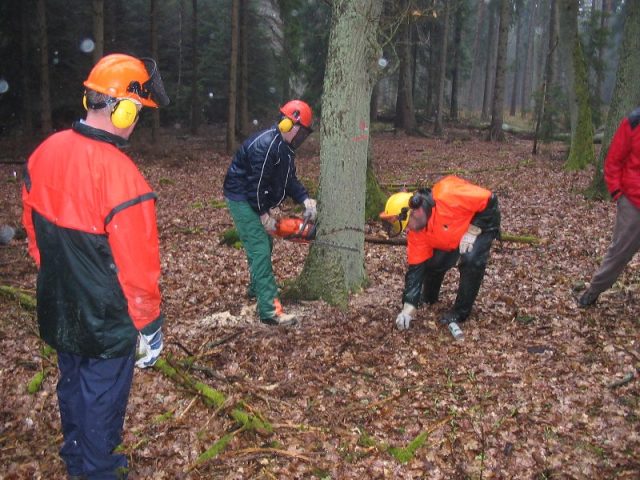 Kettensägenausbildung 2006 Kettensägenausbildung 2006