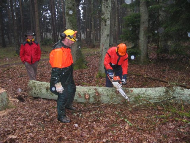 Kettensägenausbildung 2006 Kettensägenausbildung 2006