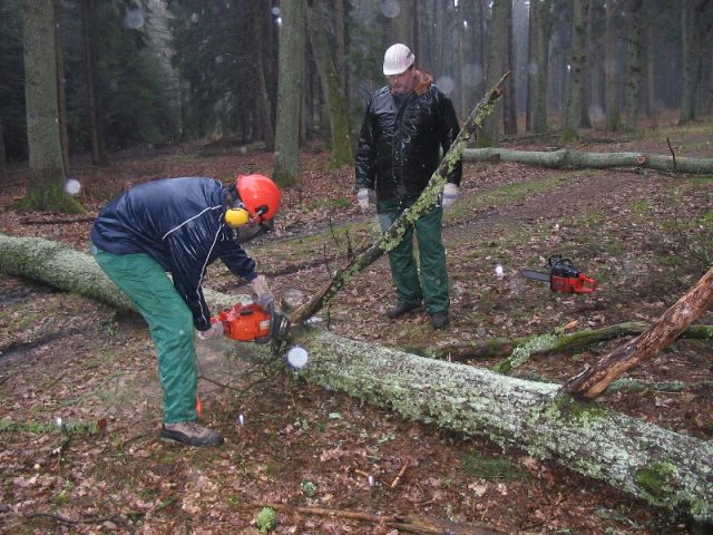 Kettensägenausbildung 2006 Kettensägenausbildung 2006