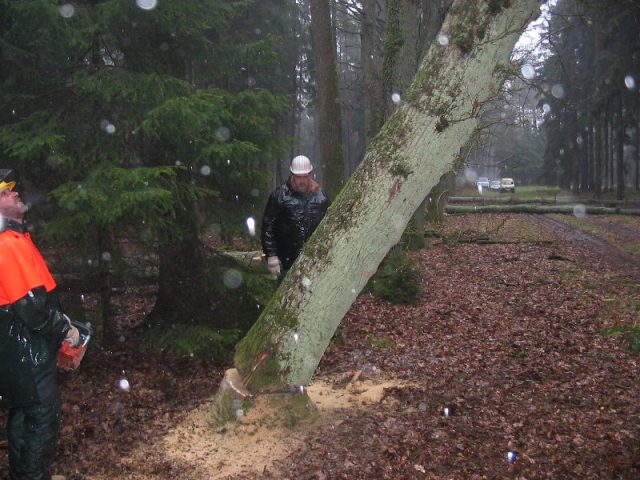 Kettensägenausbildung 2006 Kettensägenausbildung 2006