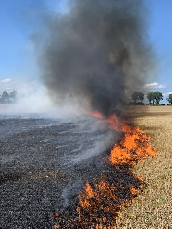 Vegetationsbrandbekämpfung Bild 3